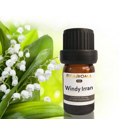 Dobra cena Ilan Aroma Diffuser Essential Oil Zrównoważony odświeżacz powietrza do samochodu Zapach 500 ml w Internecie