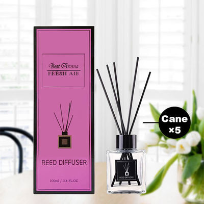 Dobra cena Dyfuzor trzcinowy ODM Geo Aroma 100 ml Sustainable Frosted Private Label w Internecie